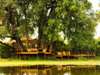 Kanga Bush Camp - Exterior
